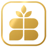 SHABAB INFOTECH
